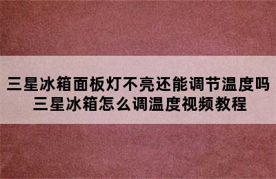 三星冰箱面板灯不亮还能调节温度吗 三星冰箱怎么调温度视频教程